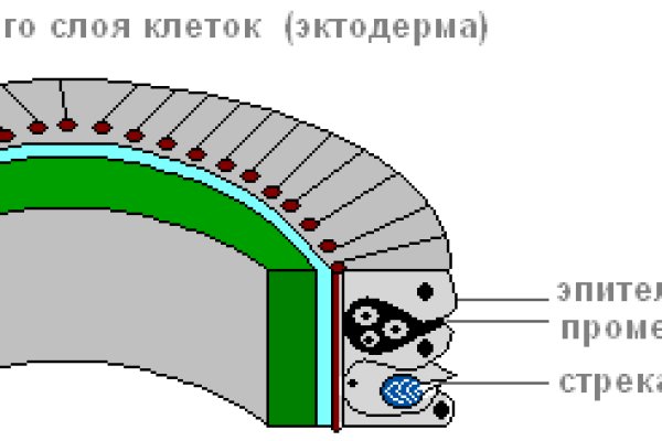 Кракен бошки