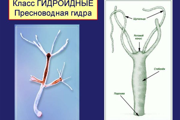 Кракен сайт продаж