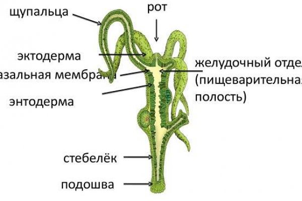 Кракен наркоплейс